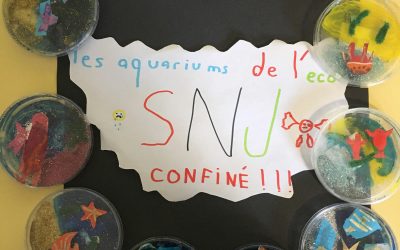 Aquariums réalisés par enfants présents à SNJ