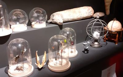 Protégé : Musée Confluence et Acquarium