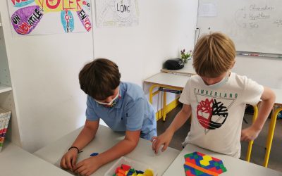 Protégé : Les sciences en CE2-CM1