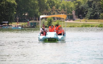 Protégé : Pédalo au Parc de la Tête d’Or