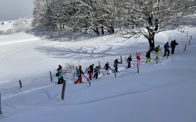 Protégé : Classe de neige CE2-CM1