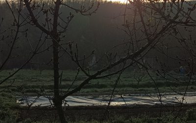 Protégé : Classe Verte des CM1-CM2