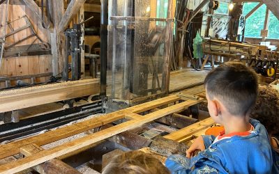 Protégé : Classe découverte des MS-GS 1er et 2ème jour