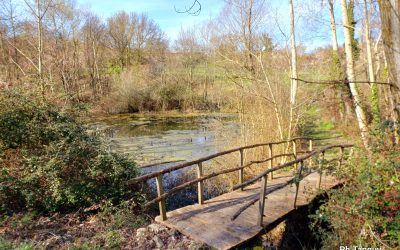 Protégé : Classe verte des CE2-CM1