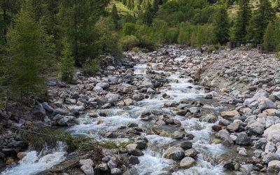 Protégé : Classe sport et nature en montagne des CE1/CE2