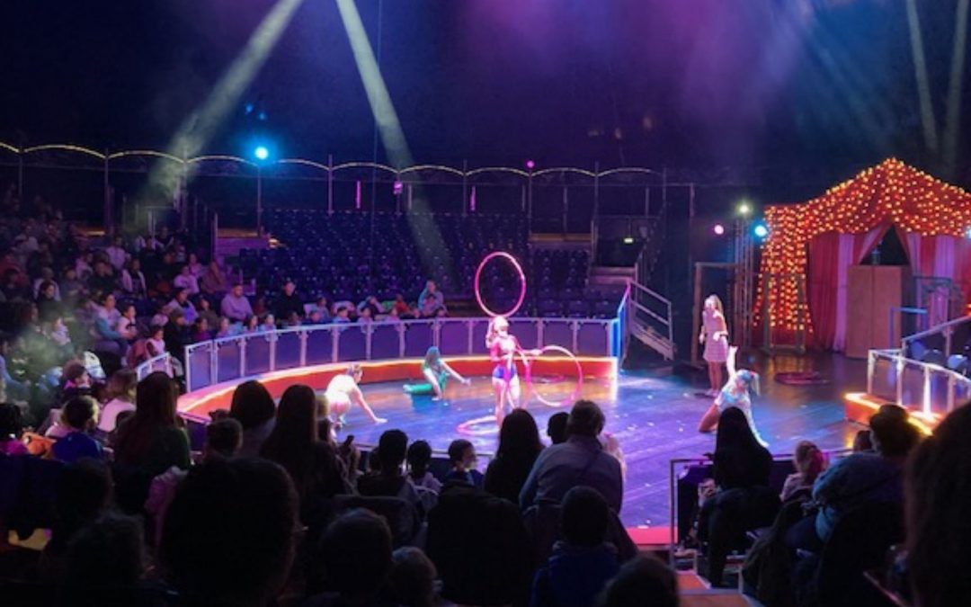 Sortie au cirque