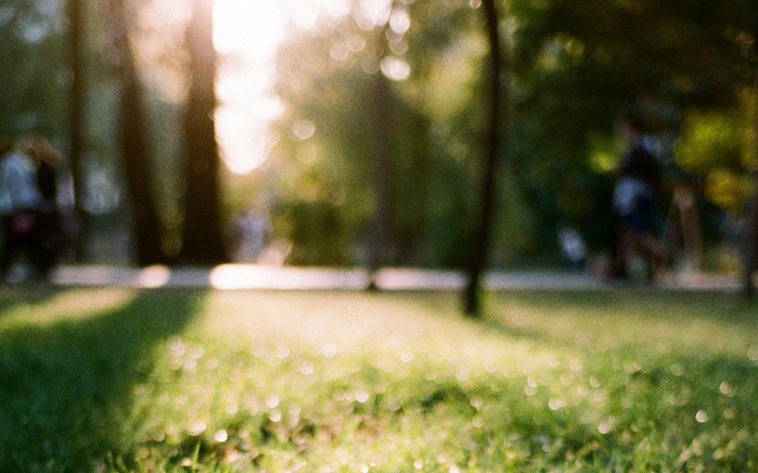 Sortie au parc de la cerisaie pour les PS-MS et CM1-CM2