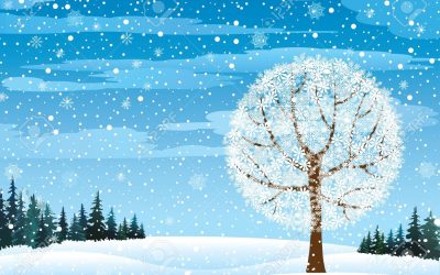 Activités et événements du mois de janvier