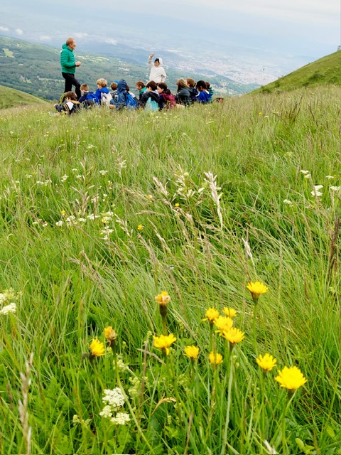 Classe découverte montagnes et volcans